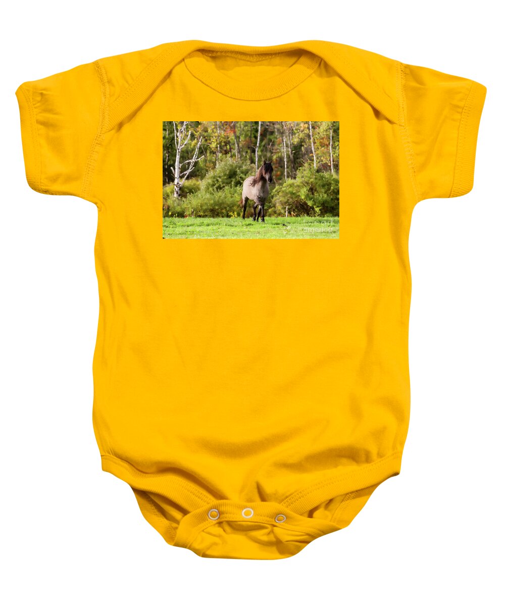 Wild Horse Baby Onesie featuring the photograph Spanish Mustang by JBK Photo Art