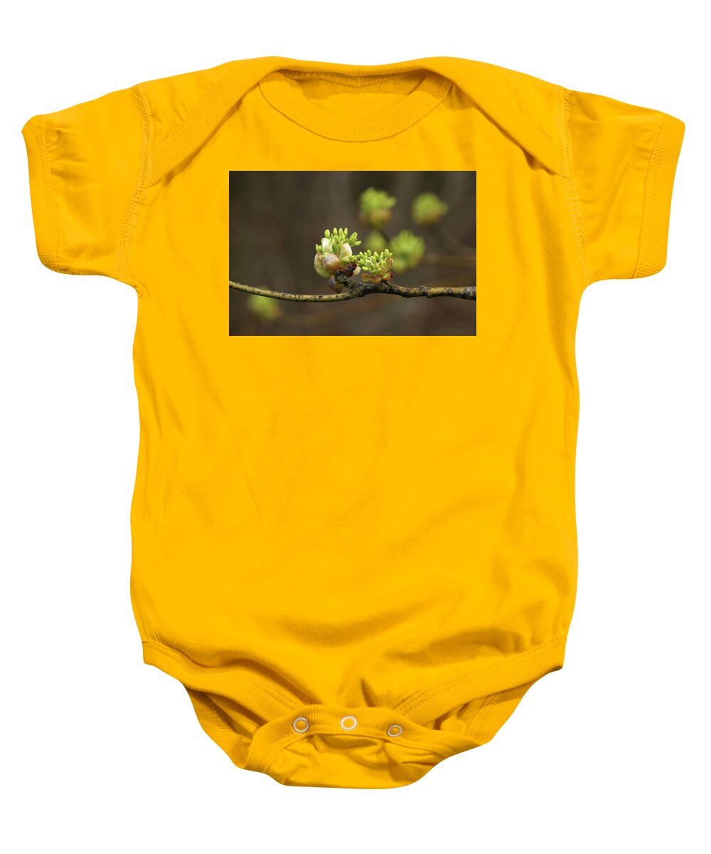 Spring Buds Baby Onesie featuring the photograph Spring Buds 9365 H_2 by Steven Ward