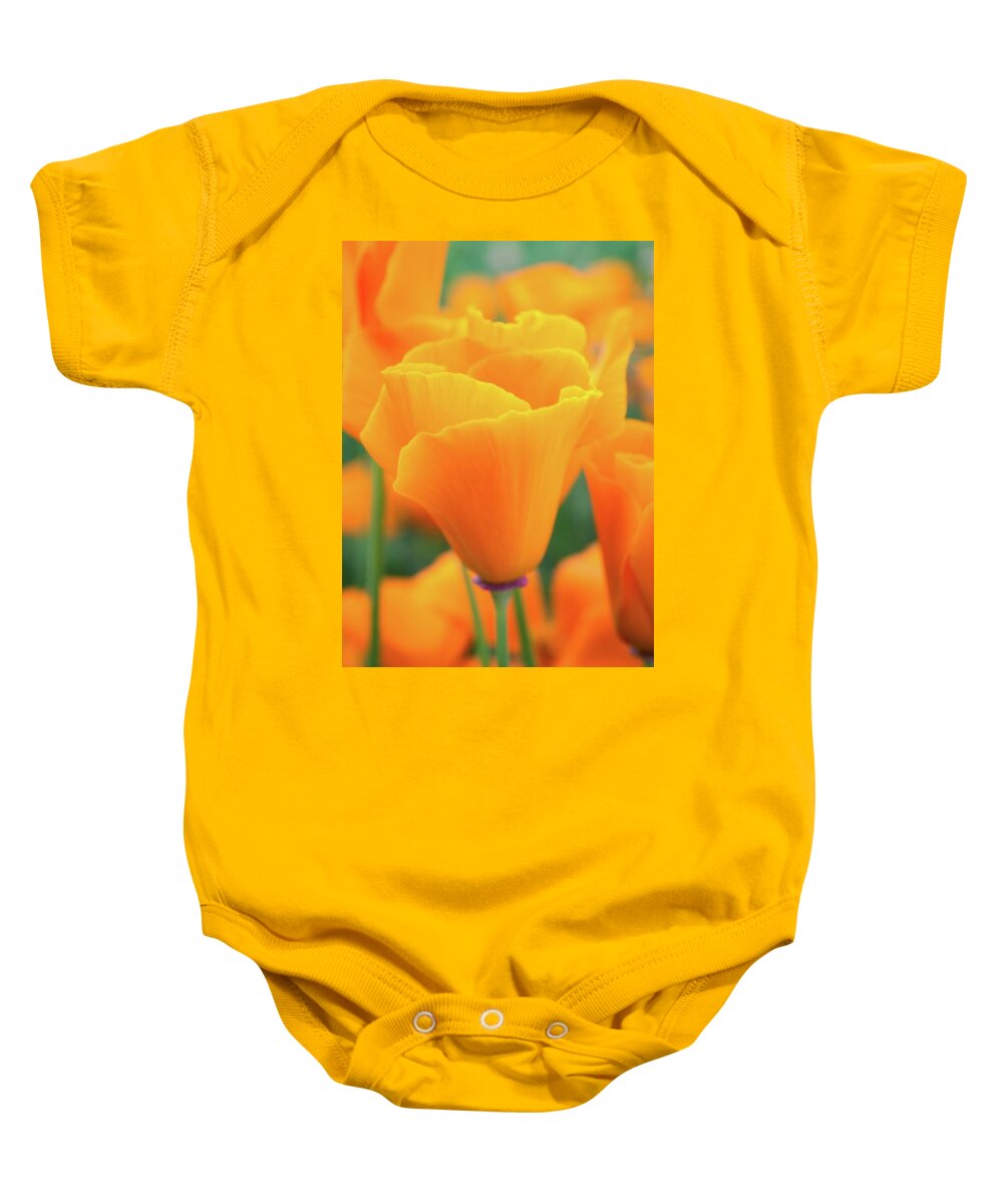 Poppies Baby Onesie featuring the photograph Spring Poppy Perfection by Lynn Bauer