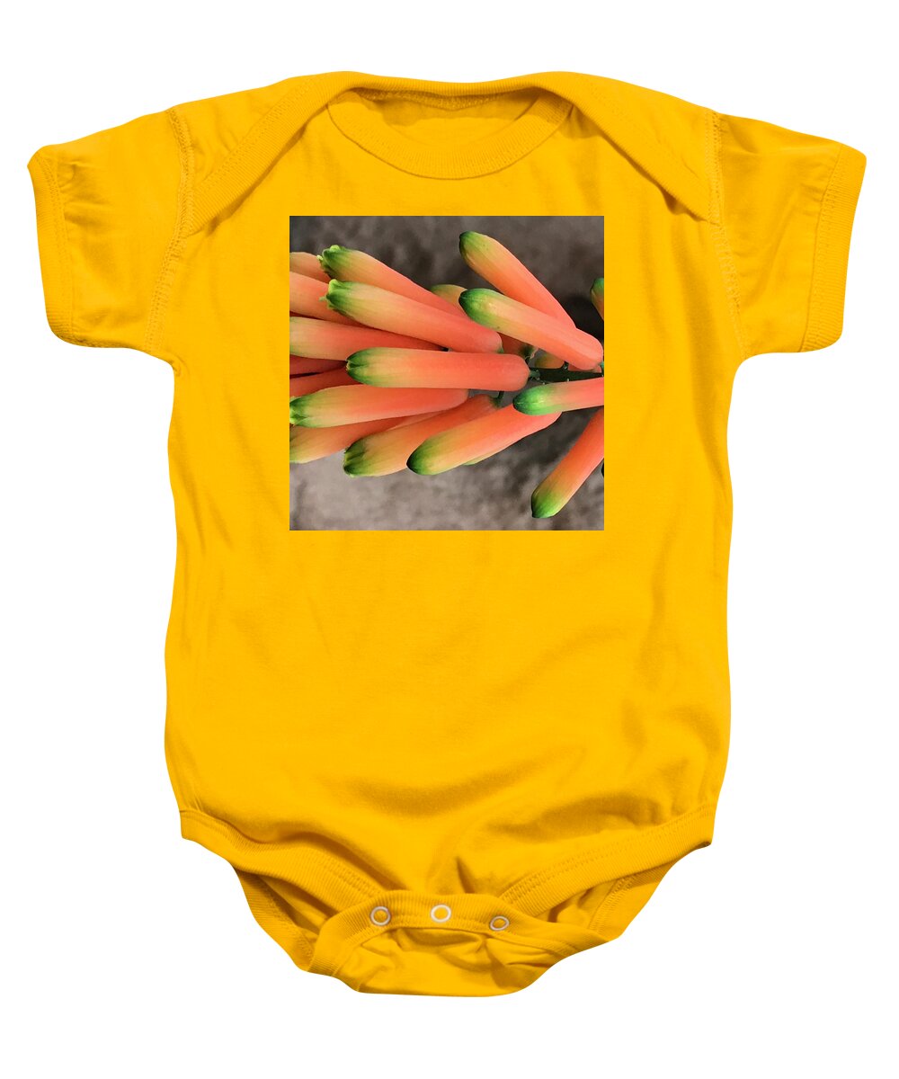 Flowers Baby Onesie featuring the photograph Stalks 3 by Jean Wolfrum