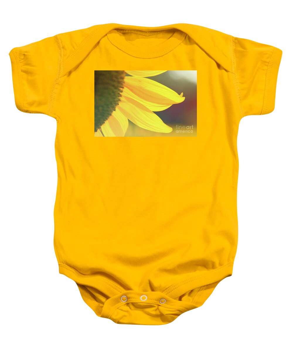  Baby Onesie featuring the photograph Sunflower 5 by Andrea Anderegg
