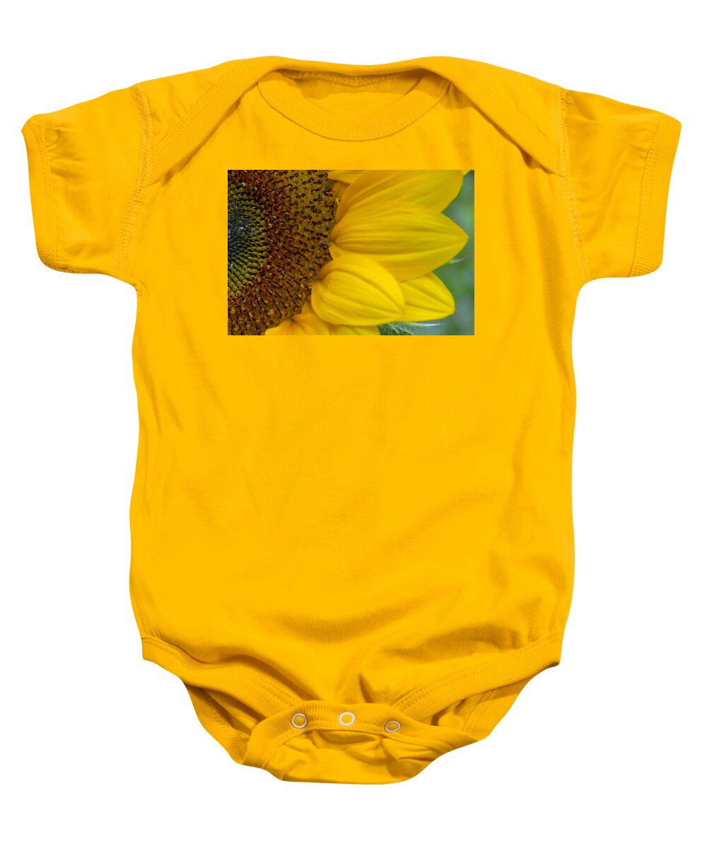 Flower Baby Onesie featuring the photograph Sunflower Closeup by Allen Nice-Webb