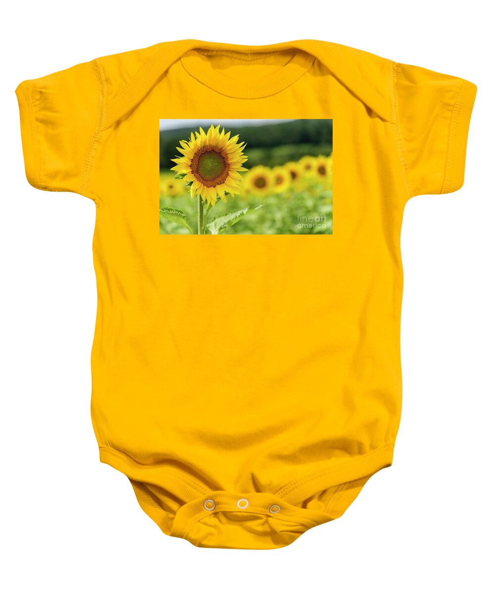 Sunflower Field Baby Onesie featuring the photograph Sunflower Field by Debra Fedchin
