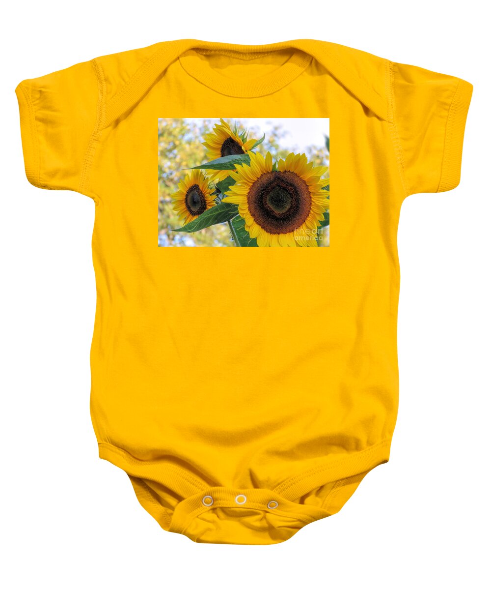 Sunflowers Baby Onesie featuring the photograph Sunflower Trio by Janice Drew