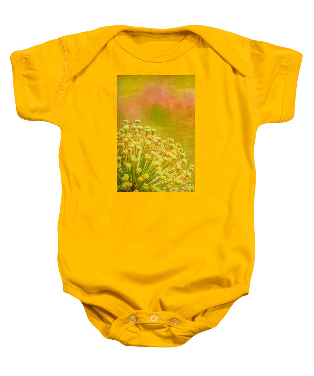 Sunny Baby Onesie featuring the photograph Sunny Allium by Bonnie Bruno