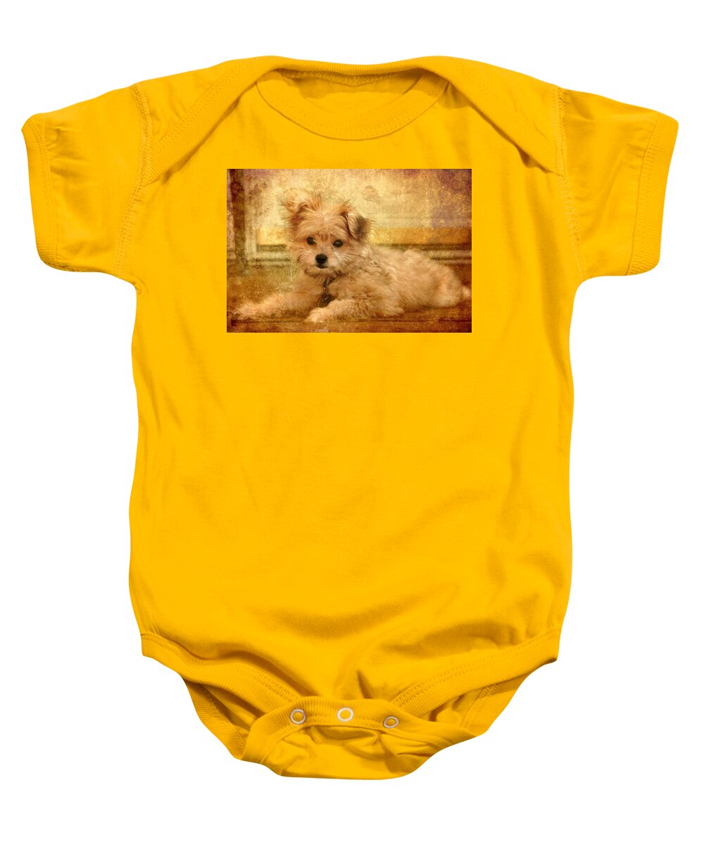 Puppies Baby Onesie featuring the photograph Taking A Break by Angie Tirado