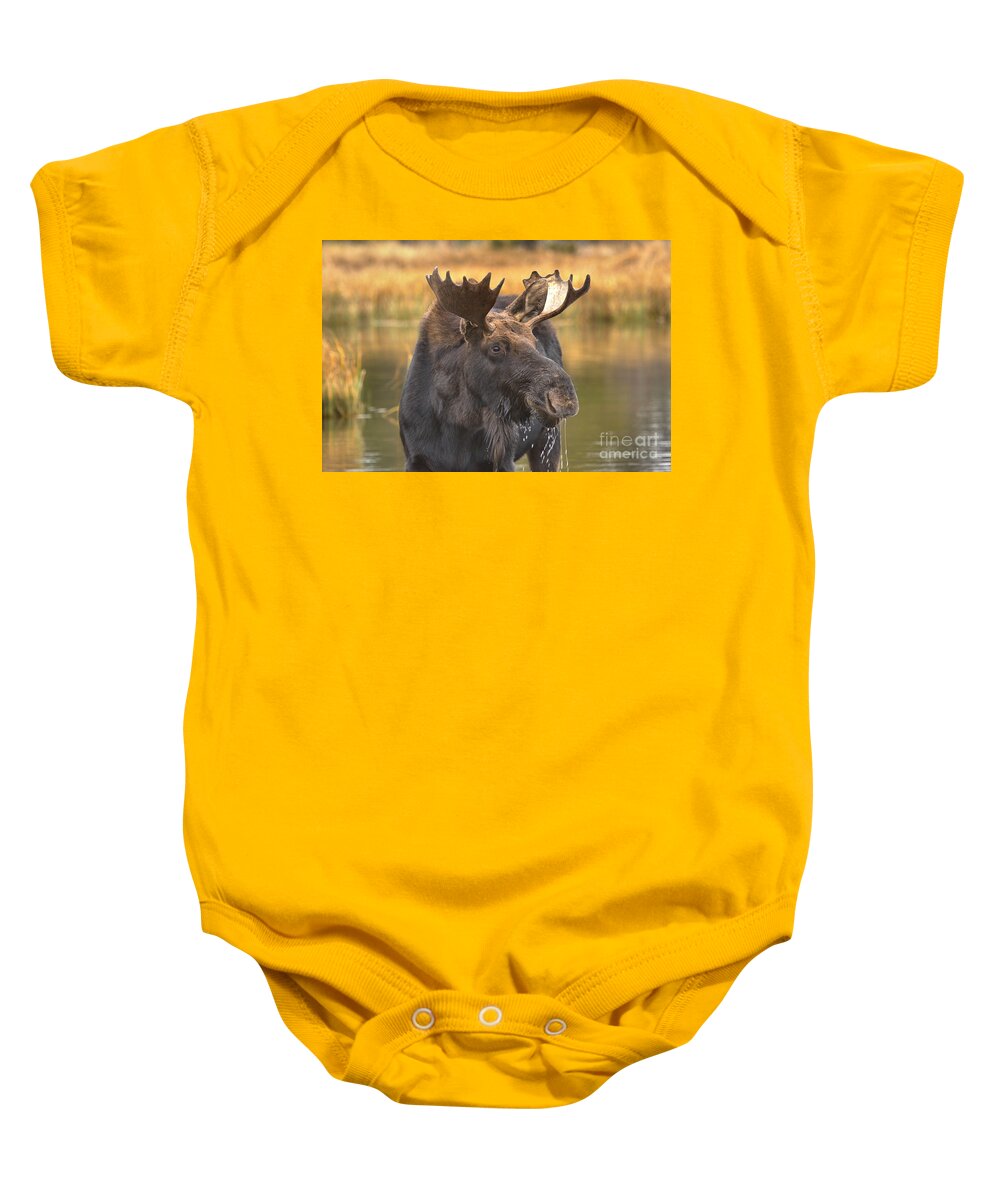 Moose Face Baby Onesie featuring the photograph Moose Smile by Adam Jewell