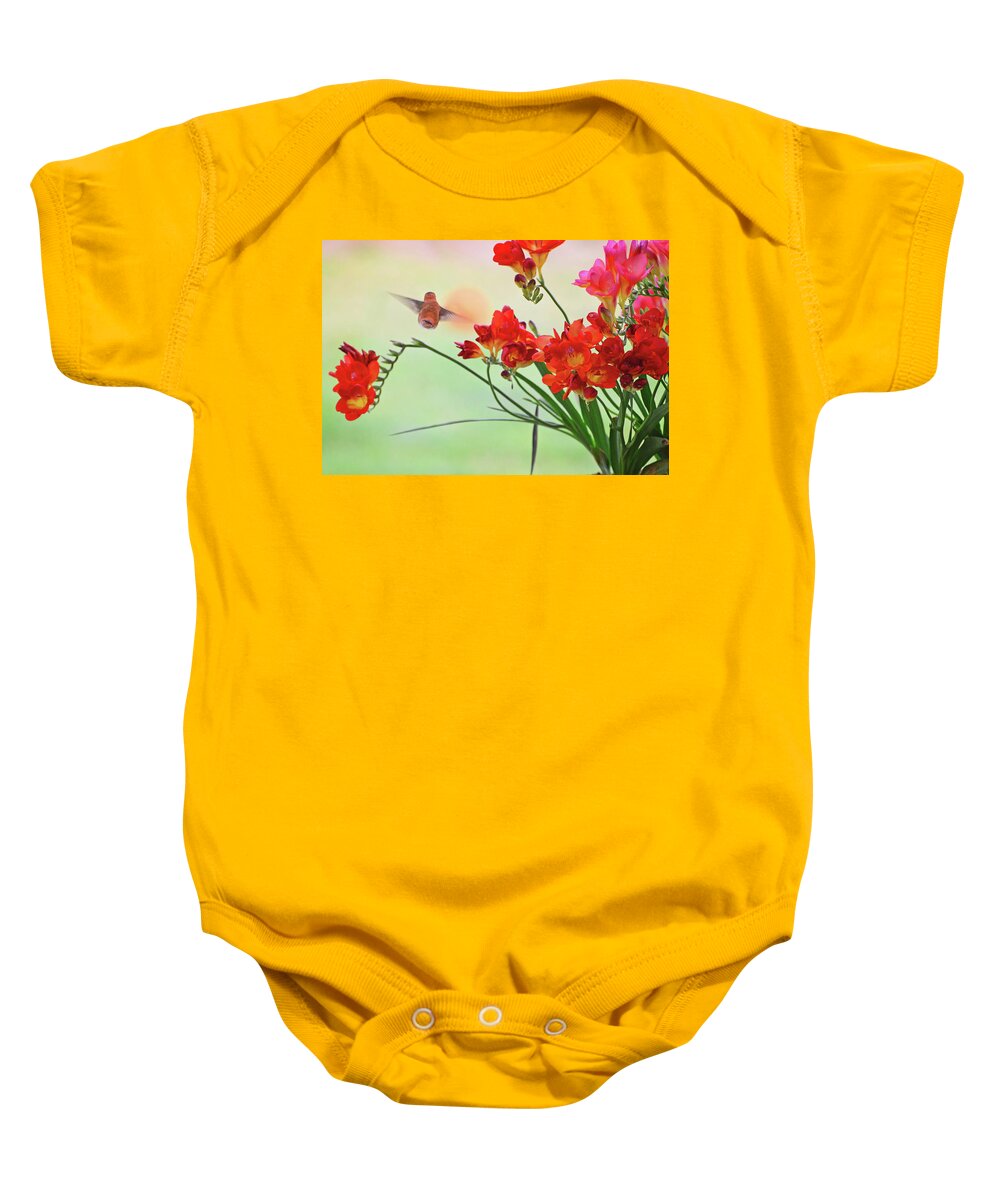 Hummingbird Baby Onesie featuring the photograph The End by Lynn Bauer