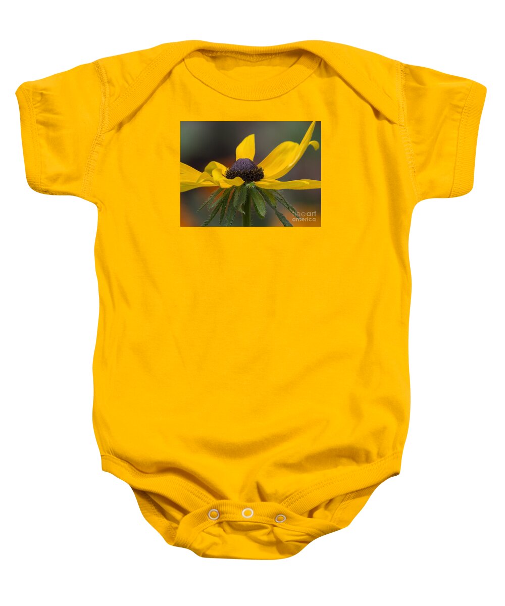 Rudebekia Baby Onesie featuring the photograph The Last Black Eyed Susan by Lili Feinstein