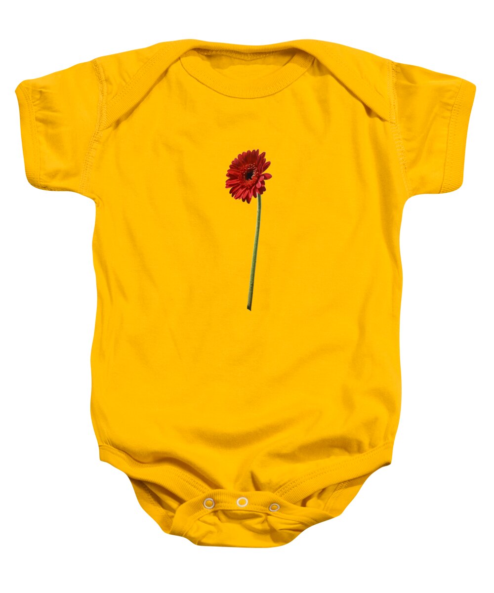 The Red Anthurium Baby Onesie featuring the digital art The Red Anthurium by Usha Shantharam