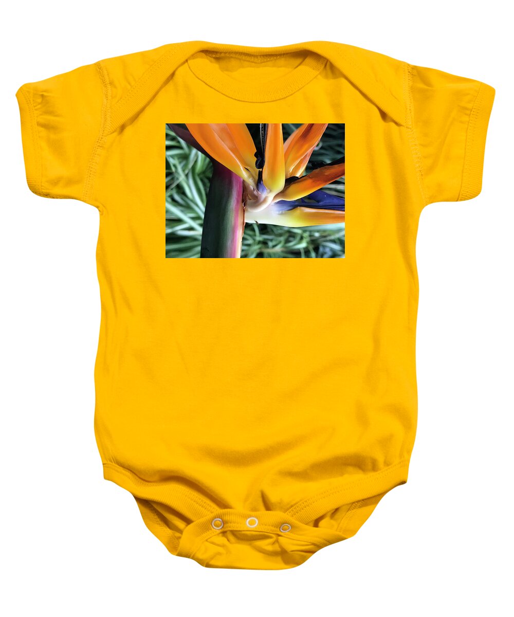 Flowers Baby Onesie featuring the photograph The Stalk by Jean Wolfrum