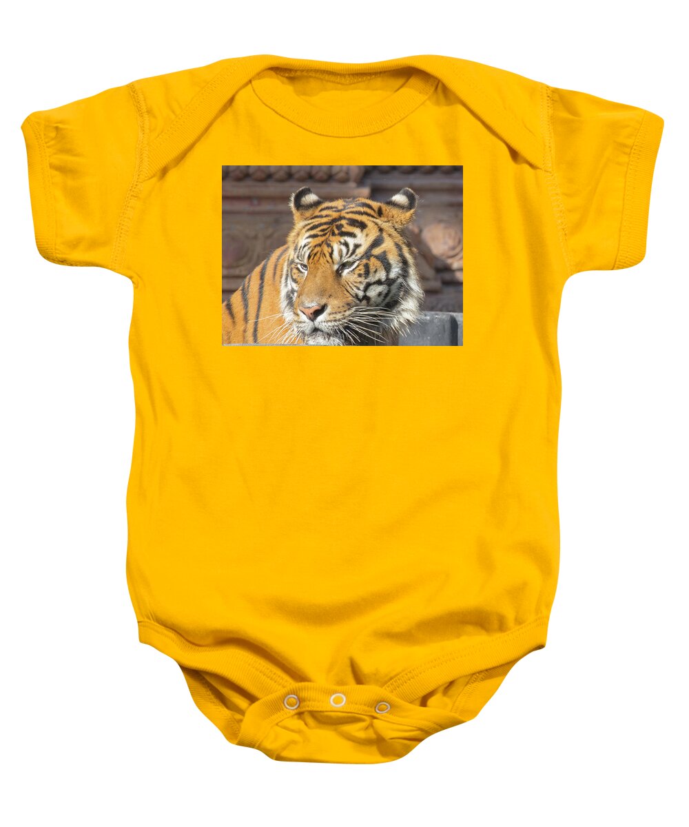 Tiger Baby Onesie featuring the photograph Tiger by Dart Humeston