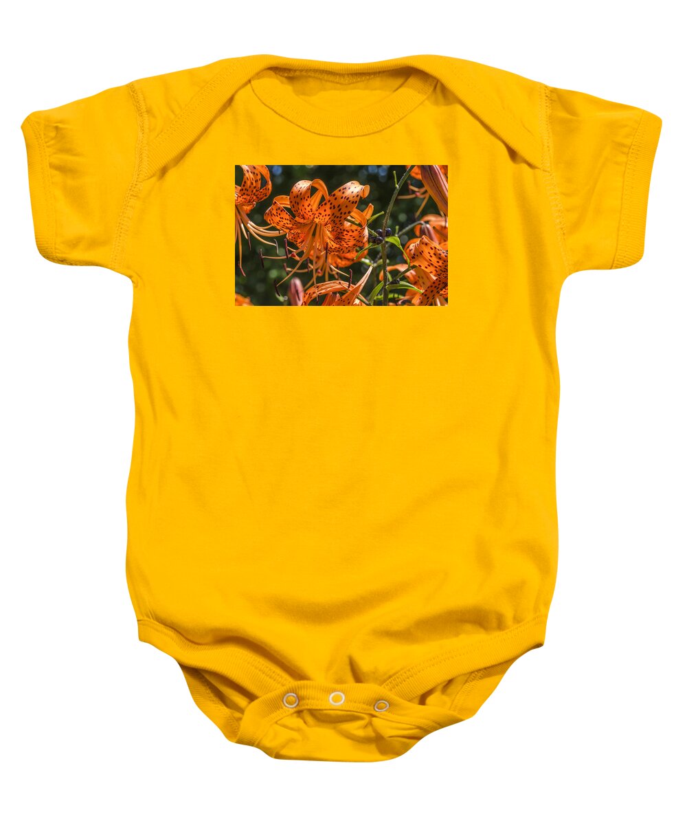 Tiger Lilies Baby Onesie featuring the photograph Tiger Lilies in the Sun by Lynn Hansen