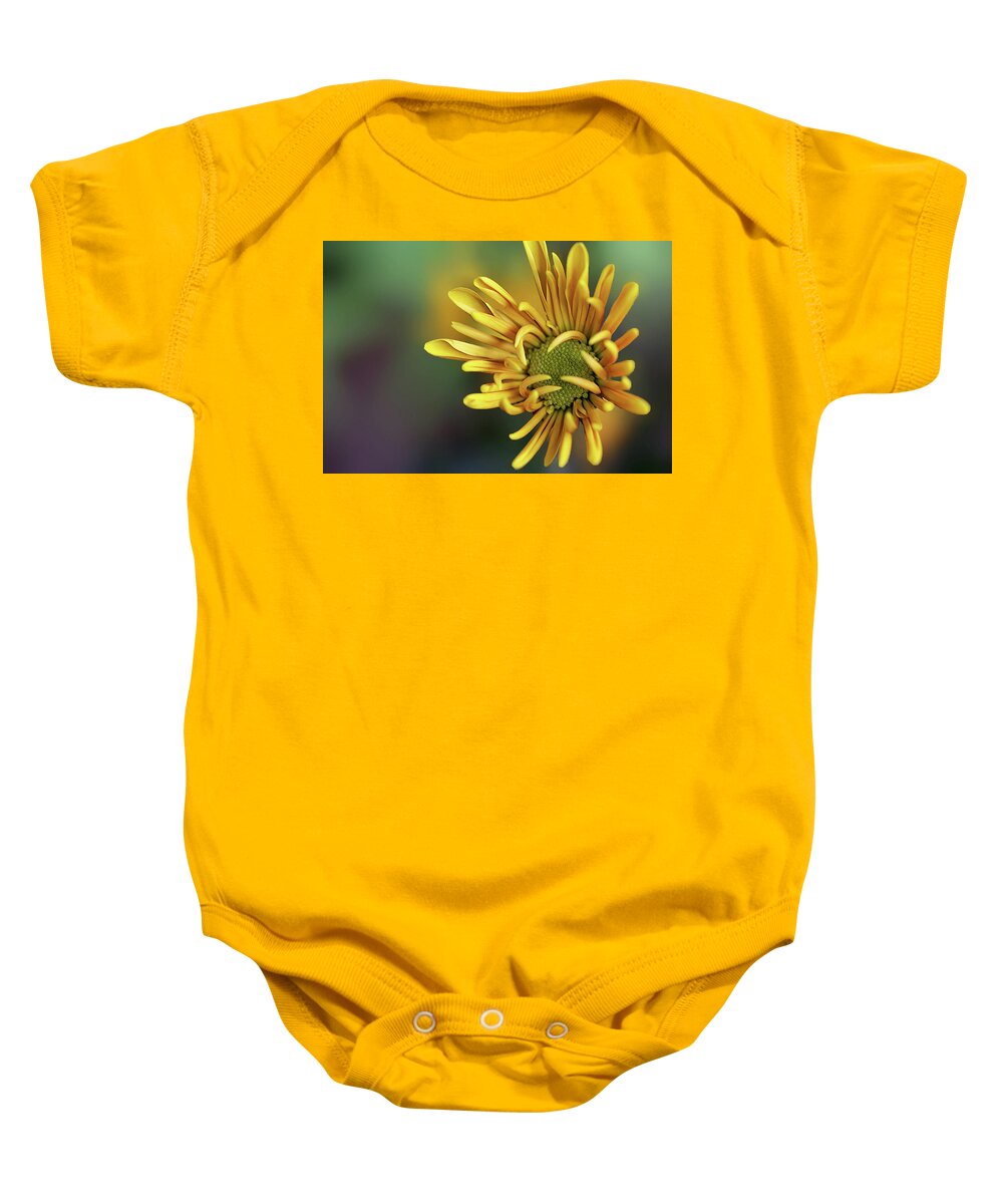 Chrysanthemum Baby Onesie featuring the photograph Tiny Miracles by Vanessa Thomas