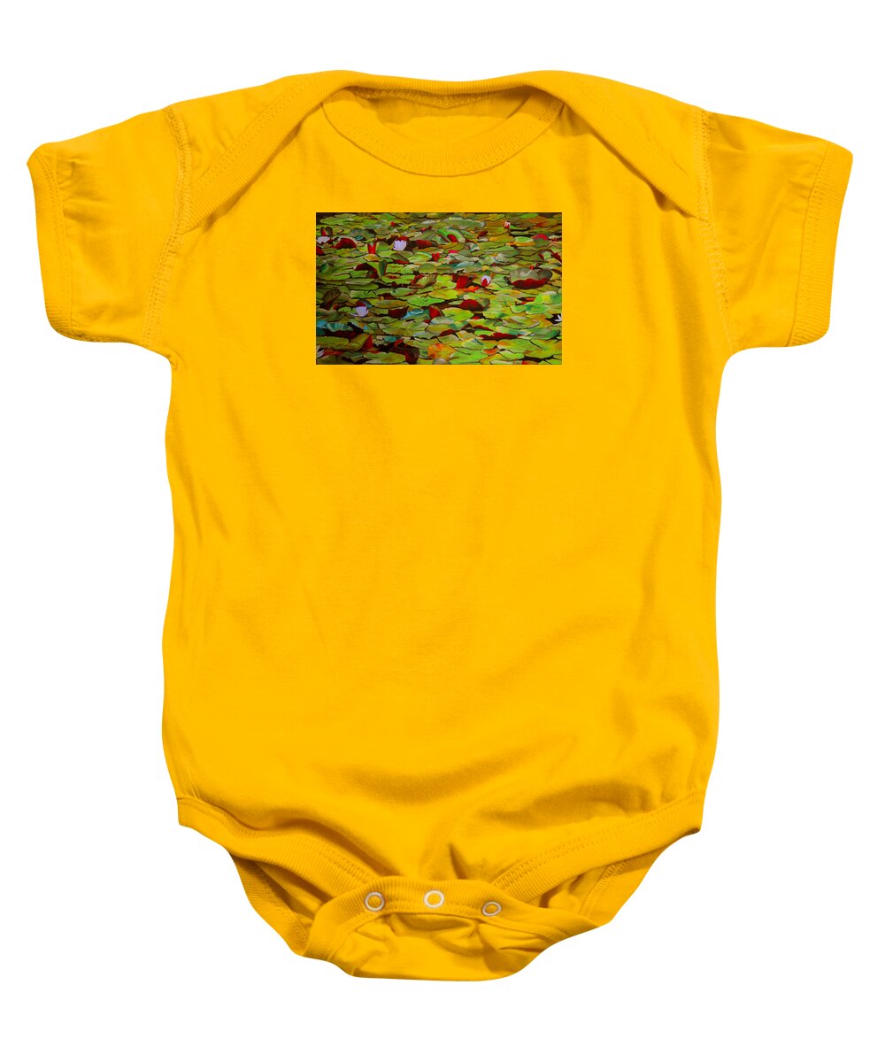 Water Lily Baby Onesie featuring the painting Vivaldi by Thu Nguyen