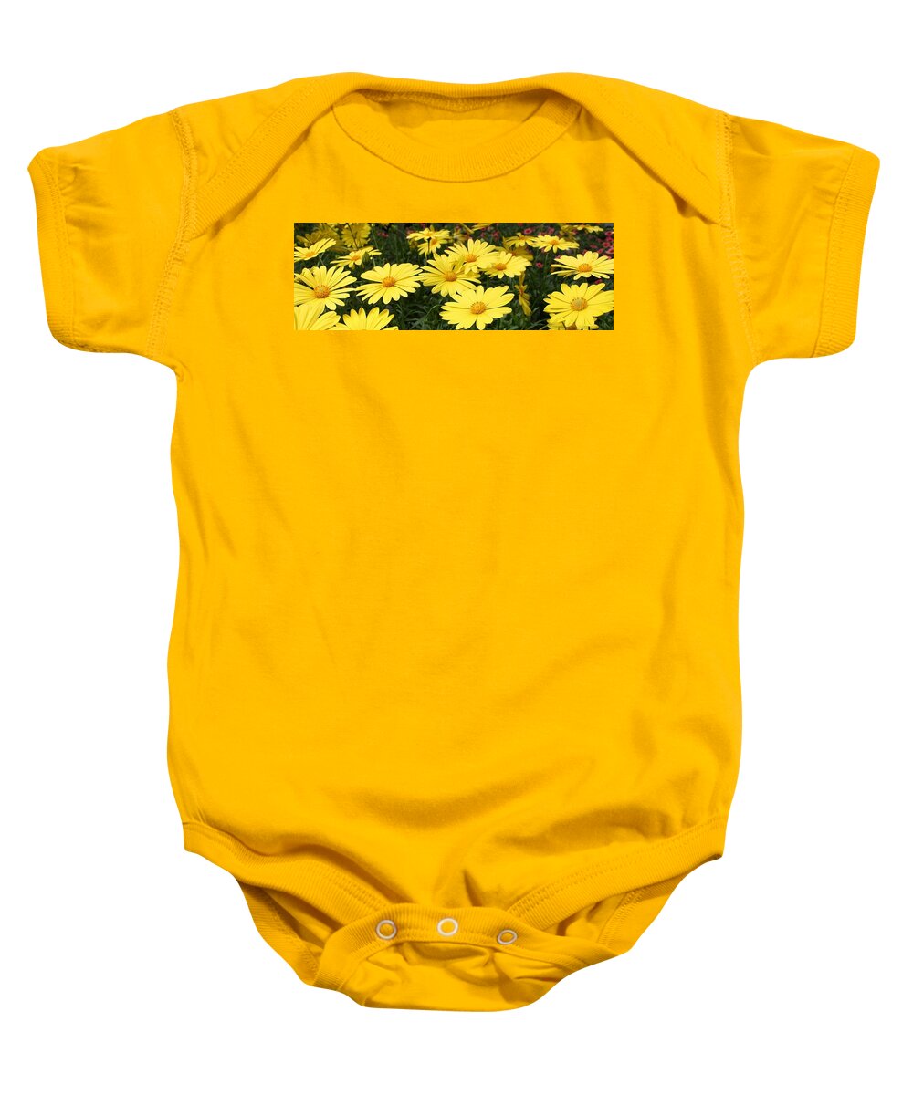 Flora Baby Onesie featuring the photograph Waves of Yellow Daisies by Bruce Bley