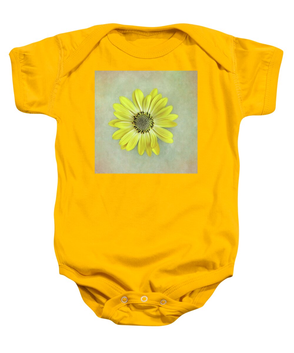 Bath Decor Baby Onesie featuring the photograph Yellow Cape Daisy by David and Carol Kelly