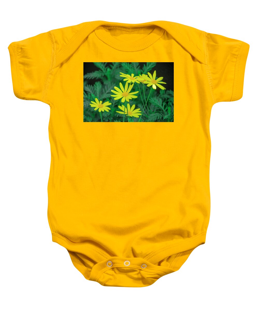 Yellow Baby Onesie featuring the photograph Yellow Daisys by Bill Cannon