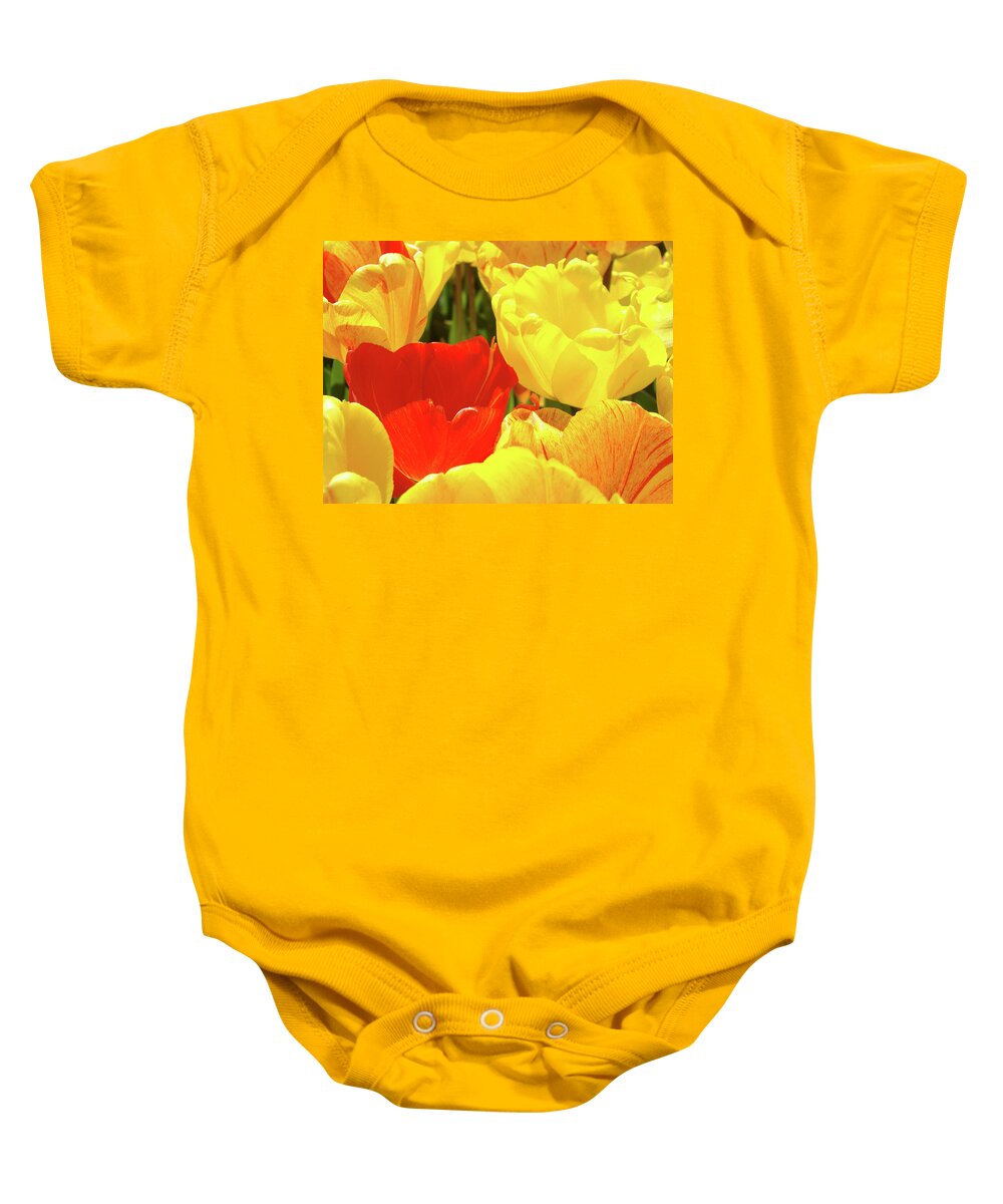 Tulip Baby Onesie featuring the photograph Yellow Red Tulip Flowers art prints Baslee Trouman by Patti Baslee