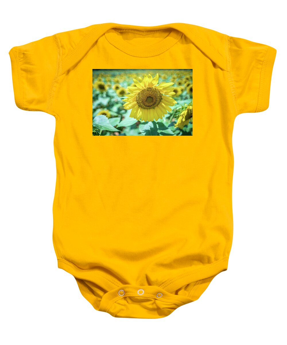 Sun Baby Onesie featuring the photograph Famland Filled With Sunflowers On Sunny Day #3 by Alex Grichenko