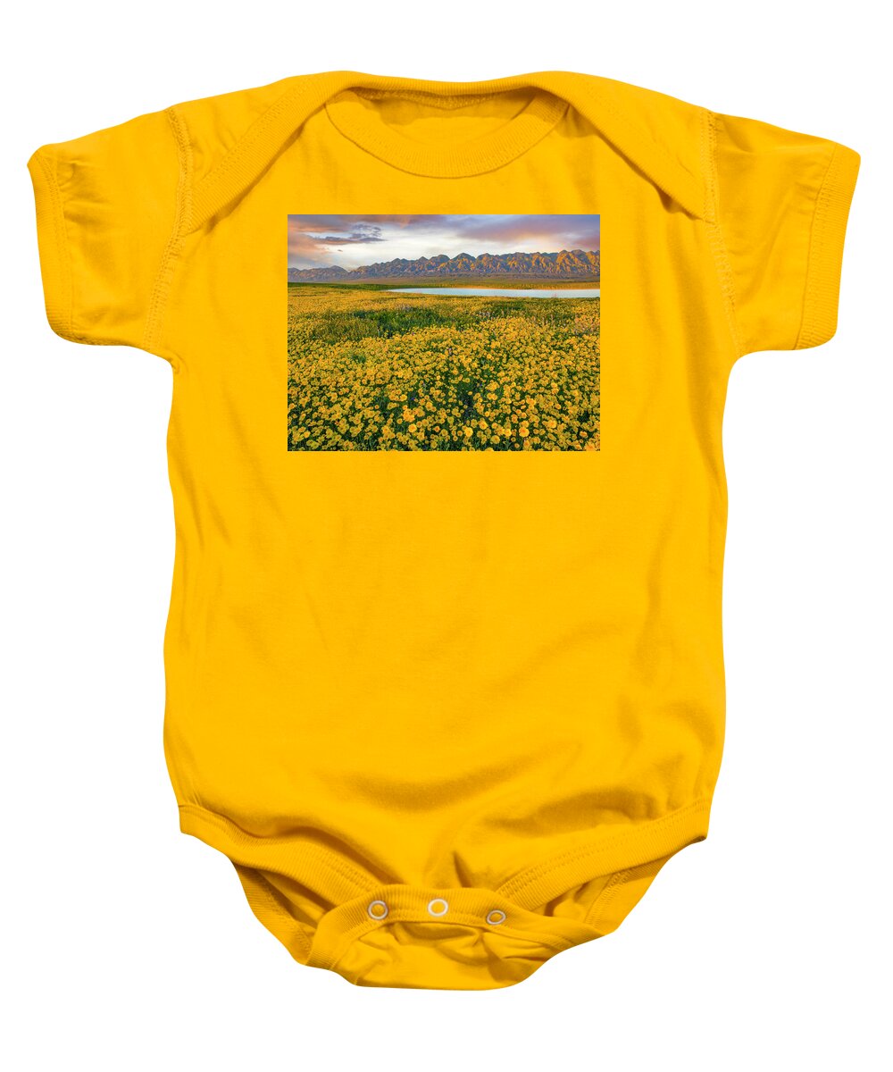 00568648 Baby Onesie featuring the photograph Hillside Daisy Superbloom, Temblor Range, Carrizo Plain Nm, California #3 by Tim Fitzharris