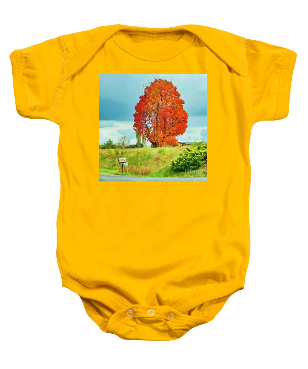 Virginia Baby Onesie featuring the photograph Autumn in Virginia by Lenore Locken