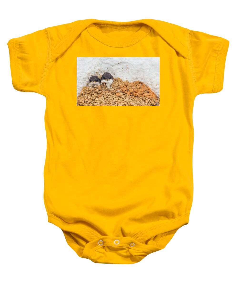 Swallows Baby Onesie featuring the photograph Baby Swallows in Nest by Lauri Novak