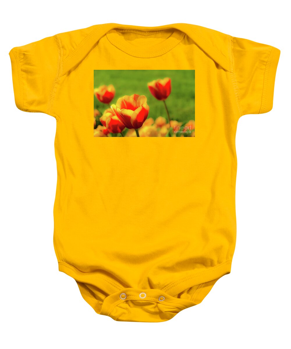Tulip Baby Onesie featuring the photograph Bright soft tulips in spring. Mellow tinted petals in orange, red and yellow. by Ulrich Wende