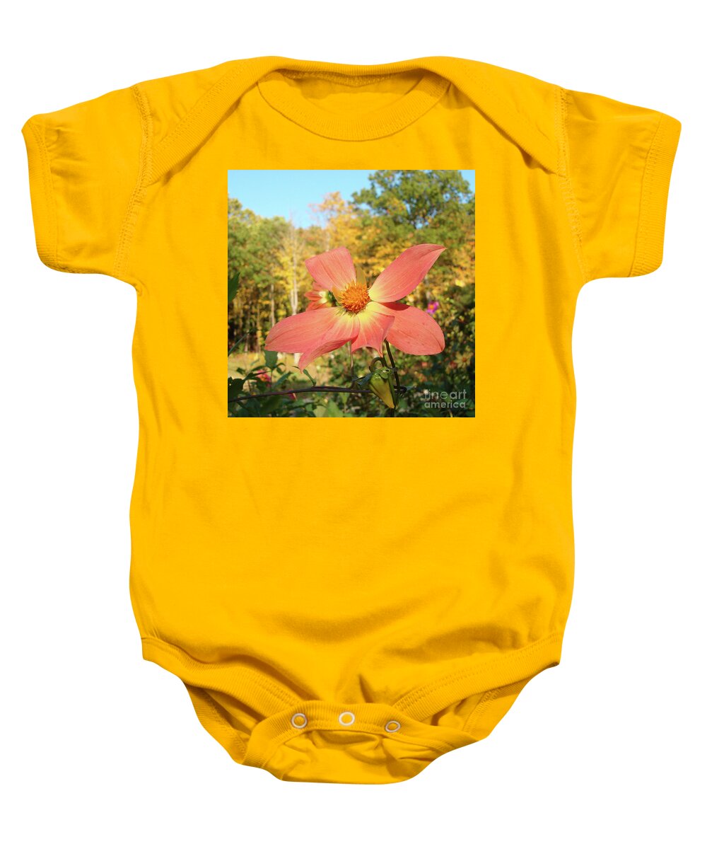 Dahlia Baby Onesie featuring the photograph Dahlia 15 by Amy E Fraser