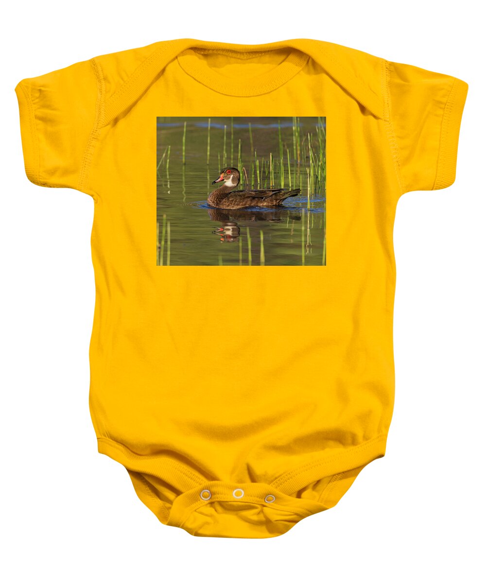 Eclipse Baby Onesie featuring the photograph Eclipse Male Wood Duck by Rick Mosher