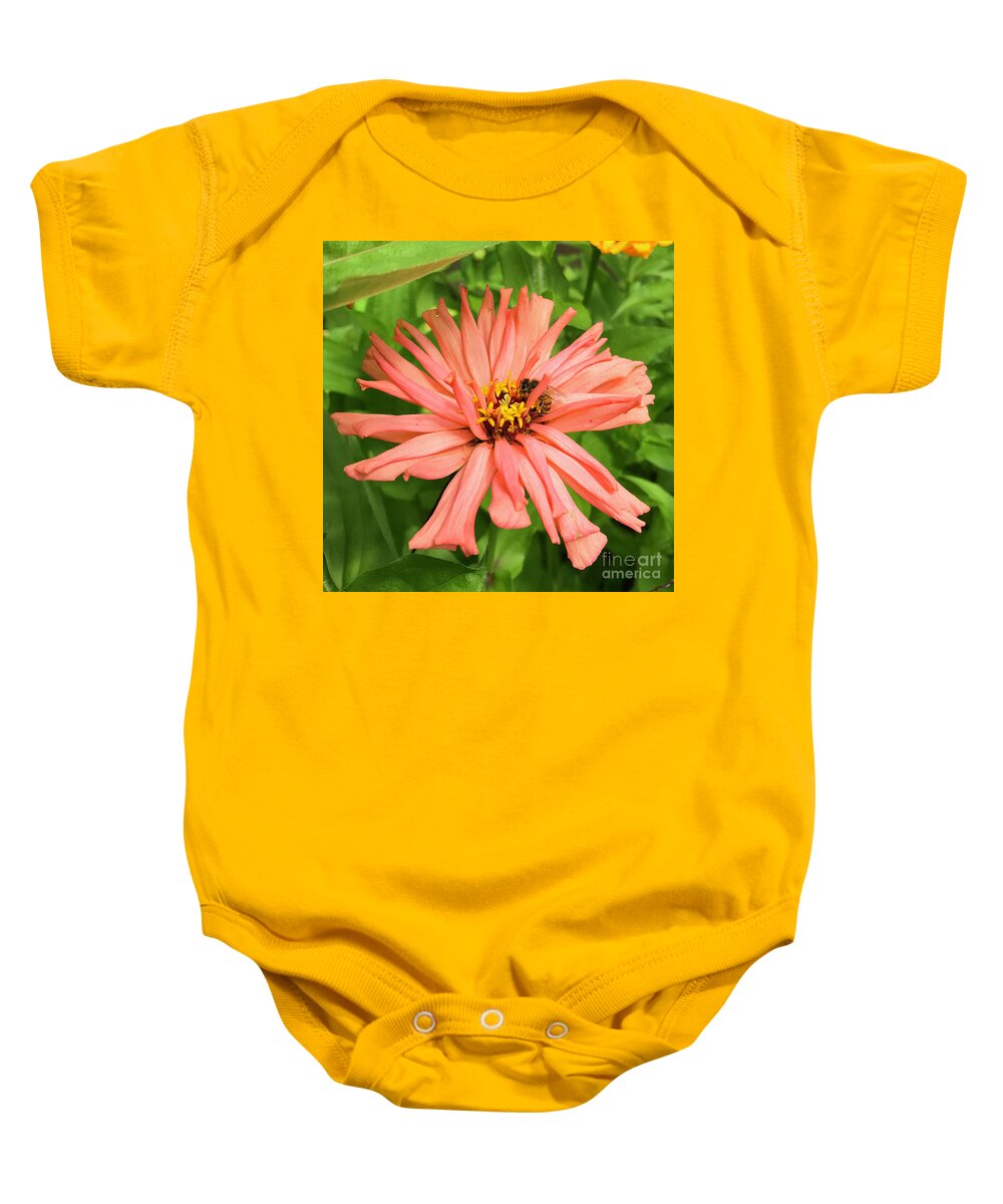 Honeybee Baby Onesie featuring the photograph Honeybee and Zinnia 6 by Amy E Fraser