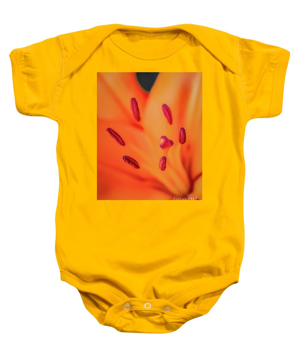 Lily Baby Onesie featuring the photograph Lily Stamen and Pistil by Melissa Lipton