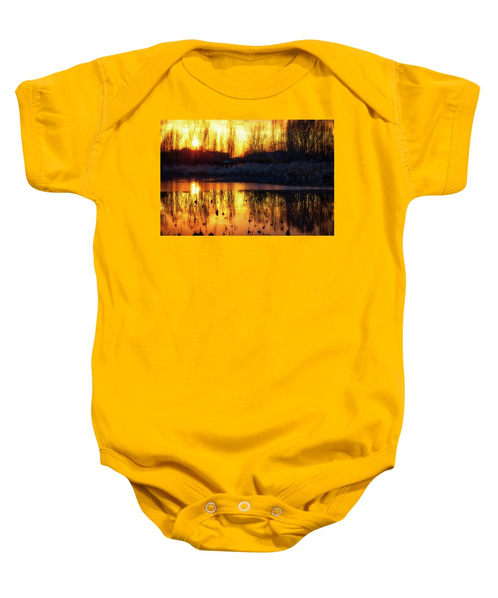 Italy Baby Onesie featuring the photograph Lotus on frozen Lake by Vivida Photo PC