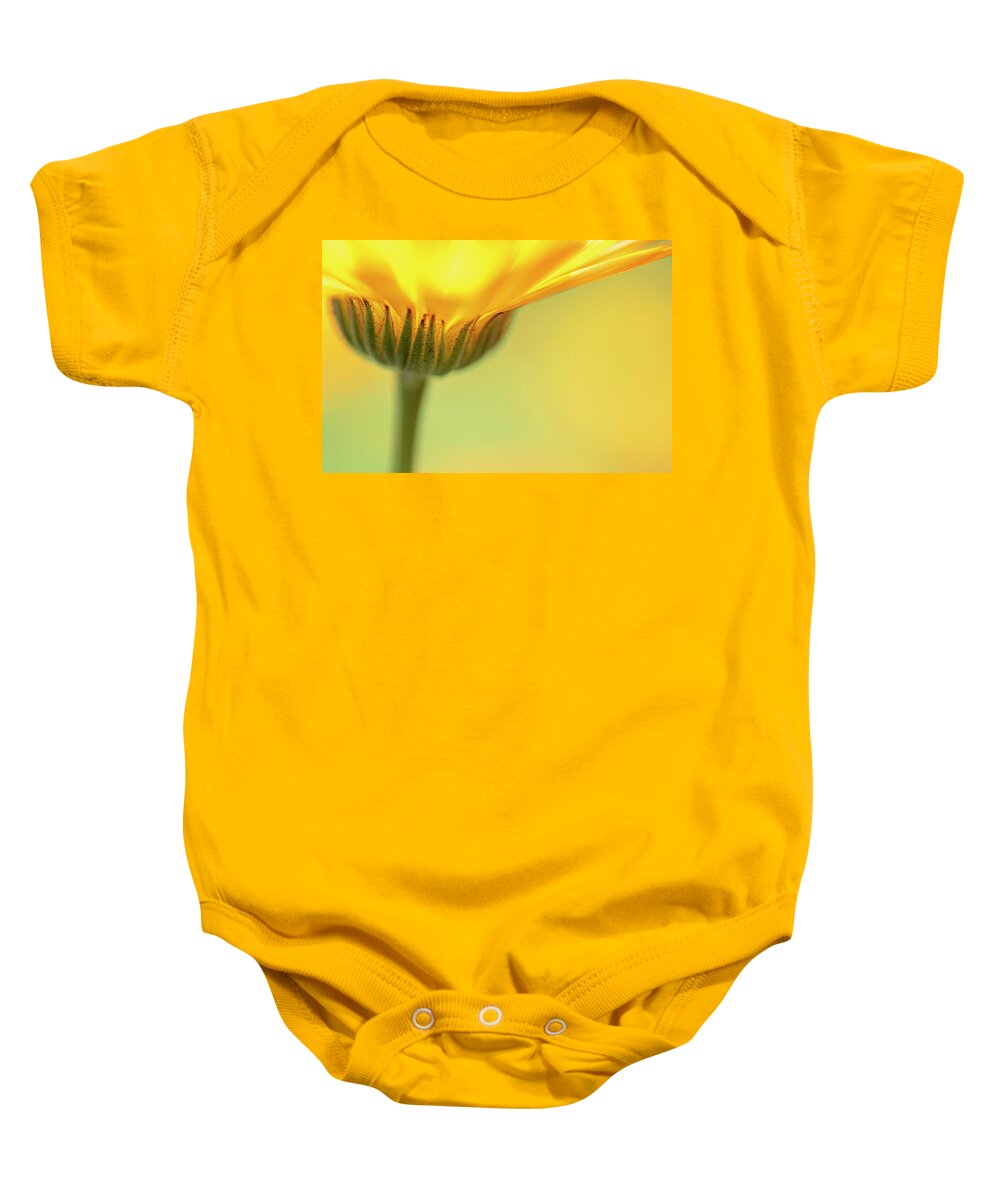 Macro Baby Onesie featuring the photograph Macro Orange 5 by Kathy Paynter