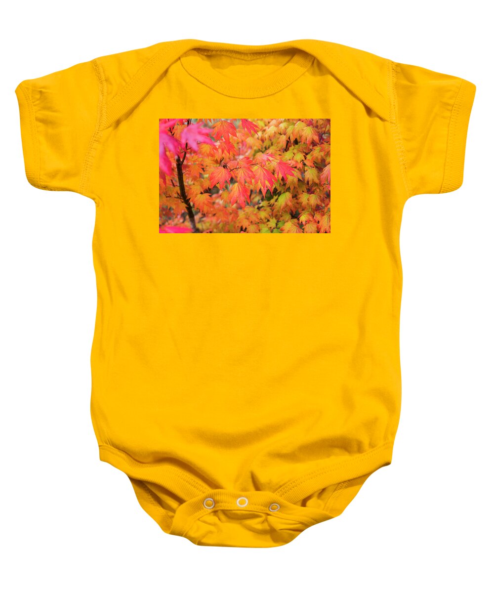 Astoria Baby Onesie featuring the photograph November Leaves by Robert Potts