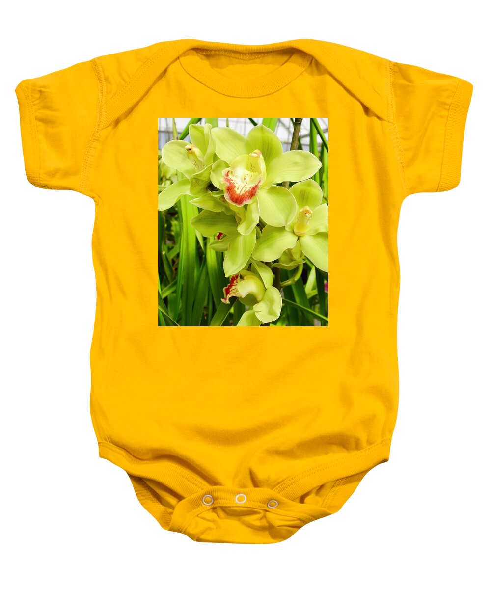 Flower Baby Onesie featuring the photograph Green Cymbidium Orchids III by Bnte Creations
