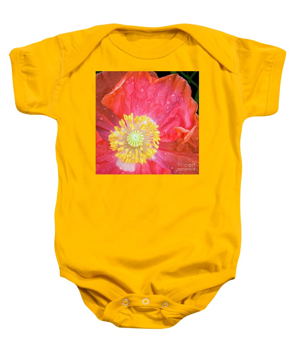 #poppy #coral #flower #spring #summer #petals #yellow #orange #pink #green #wildflowers #fresh #happy #closeup Baby Onesie featuring the photograph Poppy Closeup by Cheryl McClure