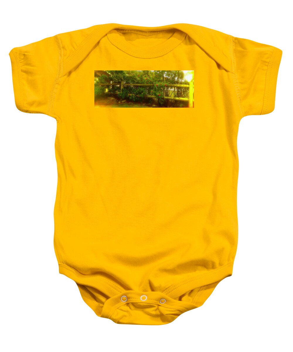 Photo Stream Baby Onesie featuring the photograph Rose Hips by Debra Grace Addison