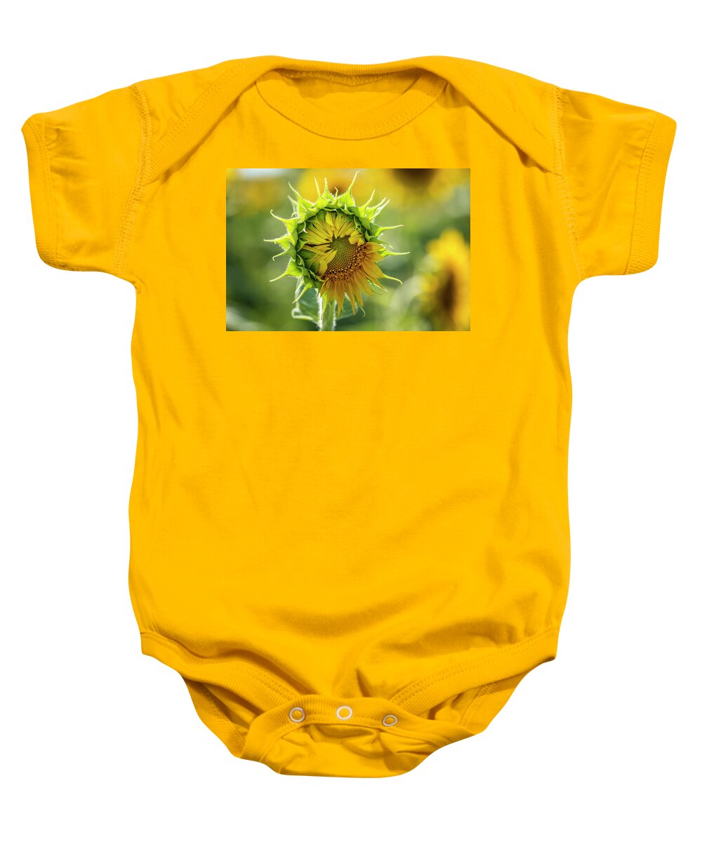 Colorado Baby Onesie featuring the photograph Showing My Sunflower Petals by Teri Virbickis