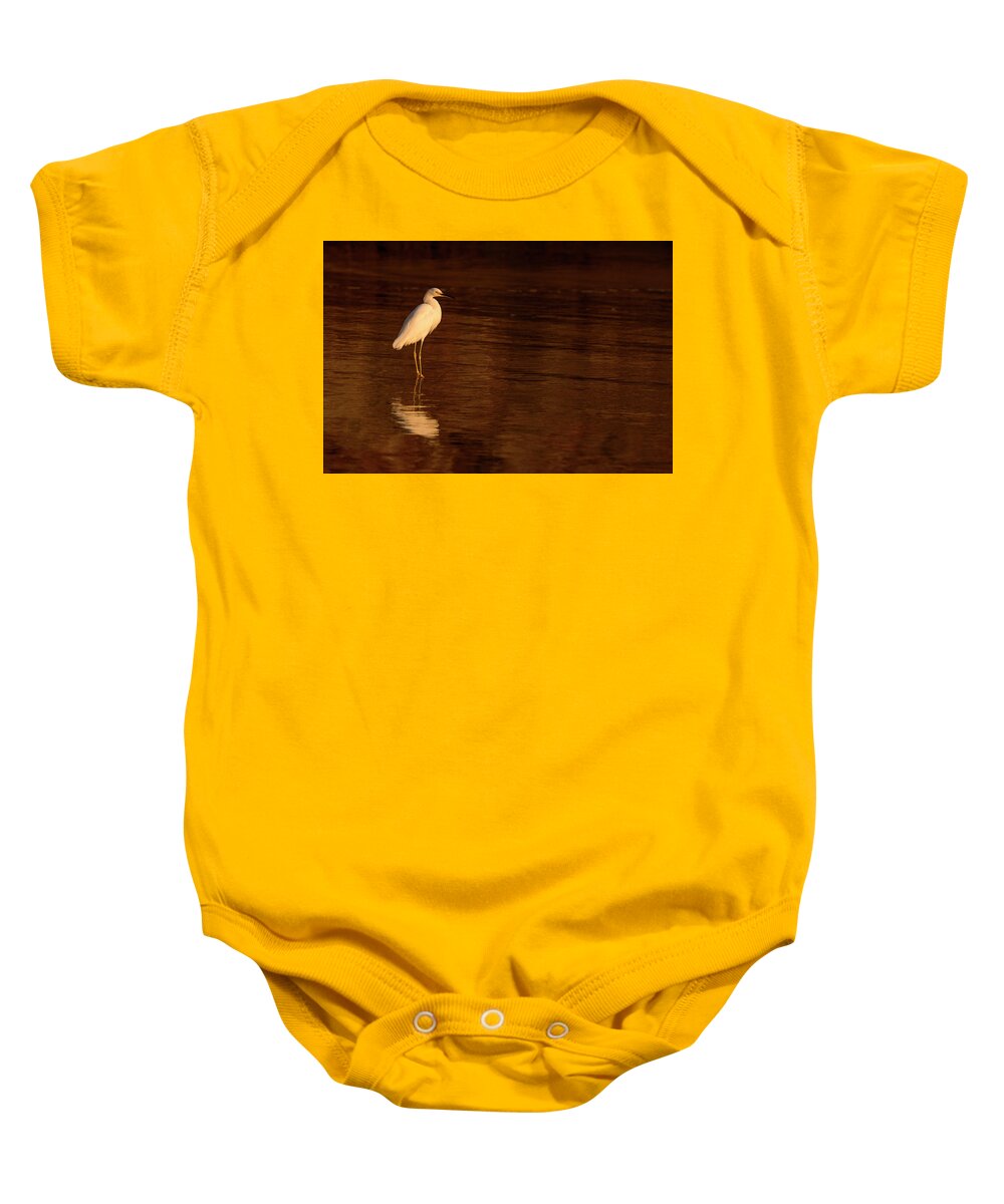 Animals Baby Onesie featuring the photograph Snowy Egret at Sunset by James Covello