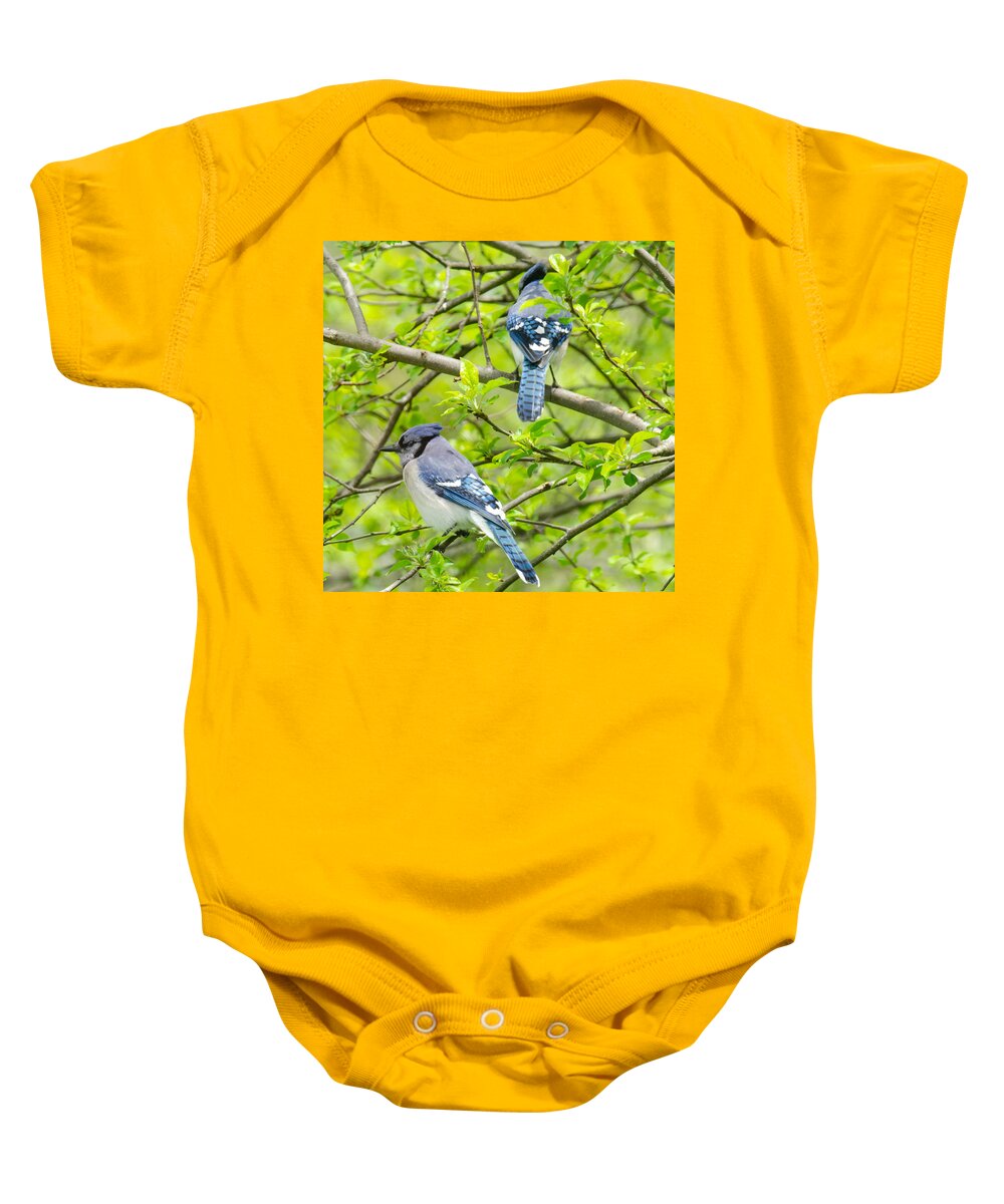 Bluejays Baby Onesie featuring the photograph Springtime Pairs by Kristin Hatt