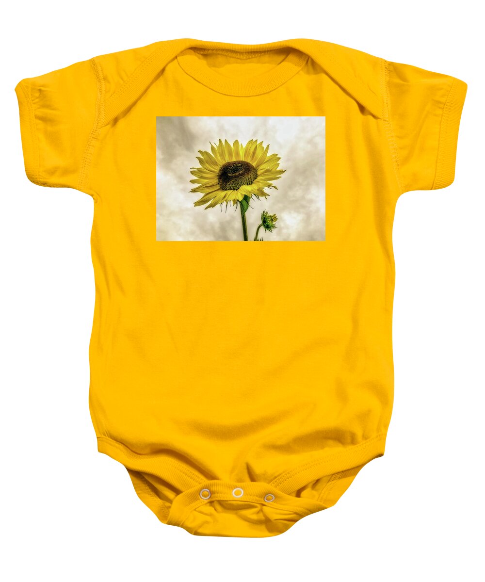 Sunflower Baby Onesie featuring the photograph Sunflower by Anamar Pictures