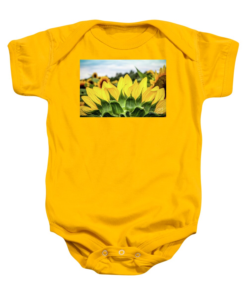 Sunflower Baby Onesie featuring the photograph Sunflower Burst by Colleen Kammerer