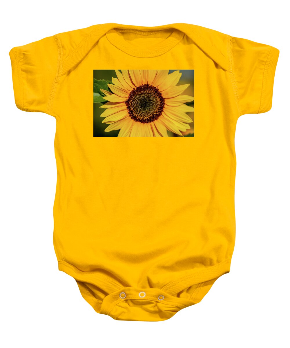Nature Baby Onesie featuring the photograph Sunflower Closeup by Douglas Wielfaert