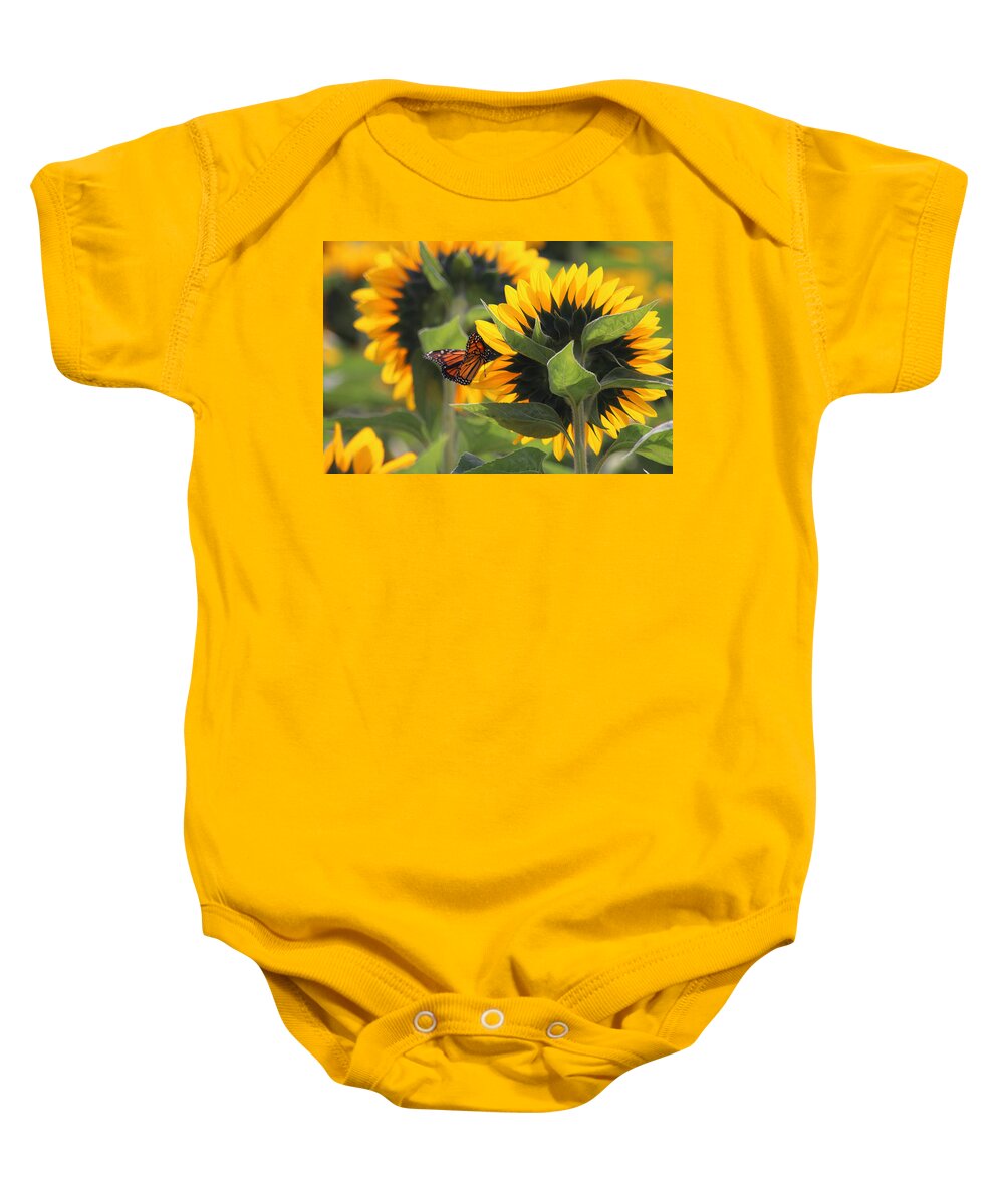 Sunflowers Baby Onesie featuring the photograph Sunshine and Happiness by Living Color Photography Lorraine Lynch