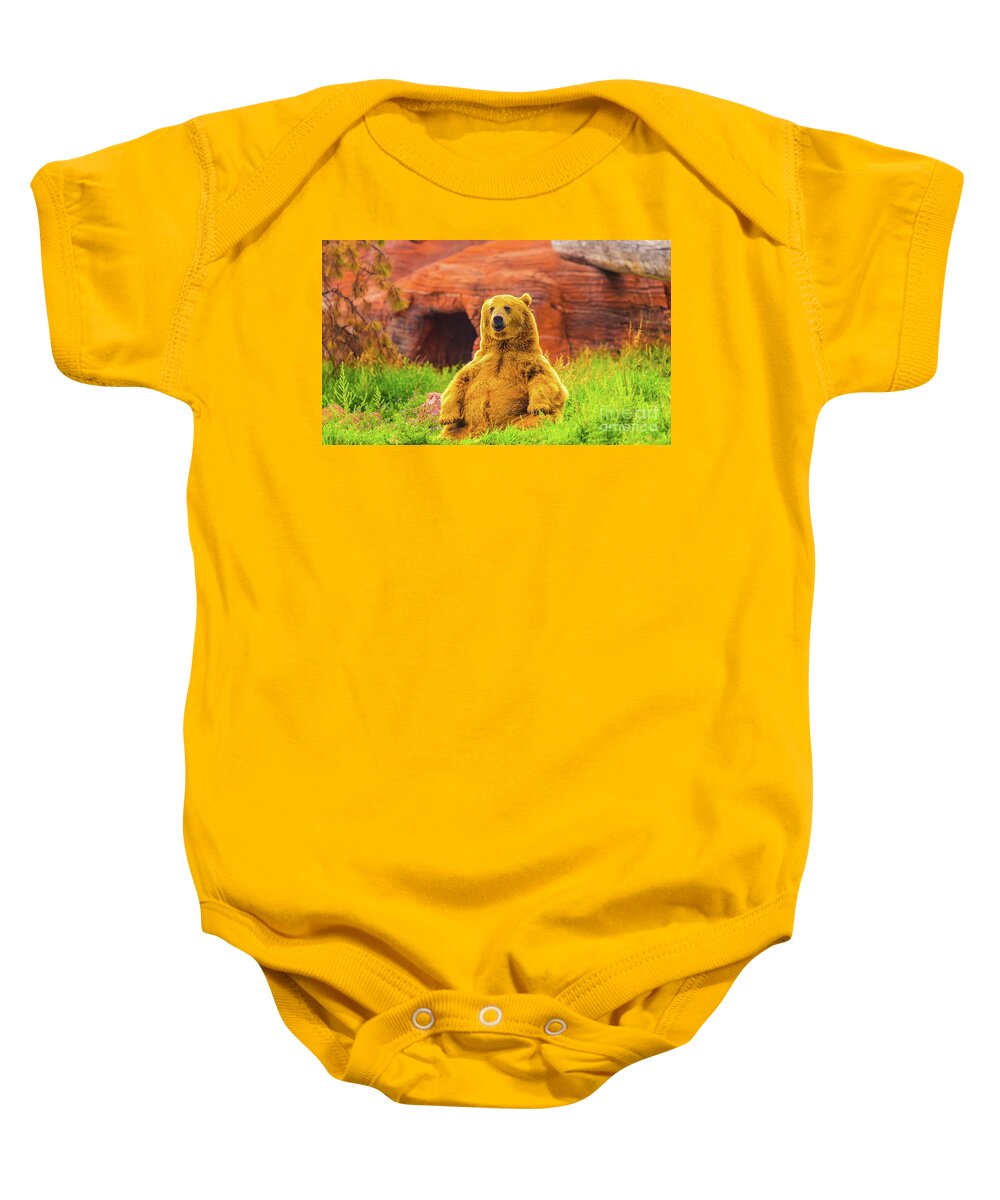 Bear Baby Onesie featuring the photograph Teddy Bear by Dheeraj Mutha