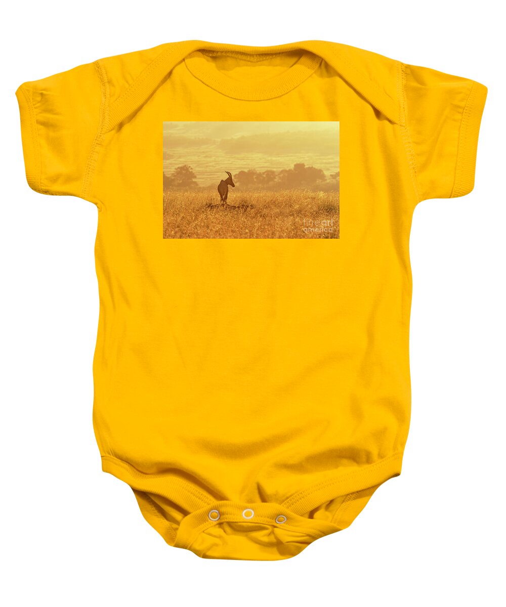 Safari Baby Onesie featuring the photograph Topi in early morning sunlight by Jane Rix