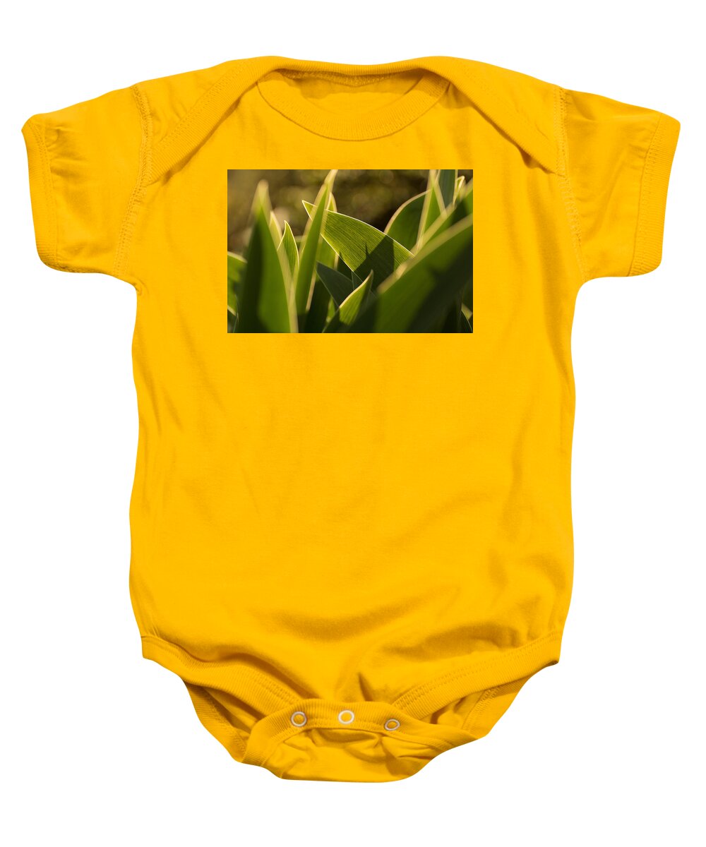 Unusual Baby Onesie featuring the photograph Tulip Leaves by Martin Vorel Minimalist Photography