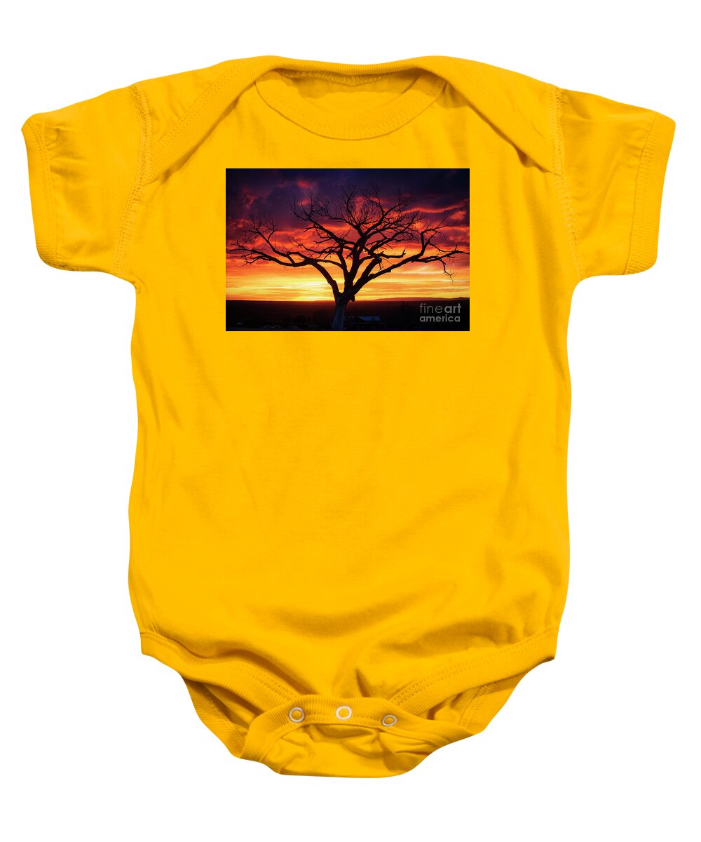 Taos Baby Onesie featuring the photograph Taos Welcome Tree by Elijah Rael