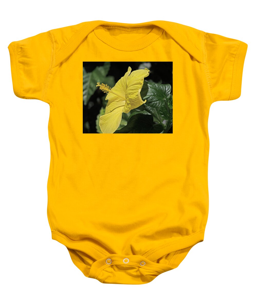 Floral Baby Onesie featuring the photograph Yellow Hibiscus #1 by Thomas Whitehurst